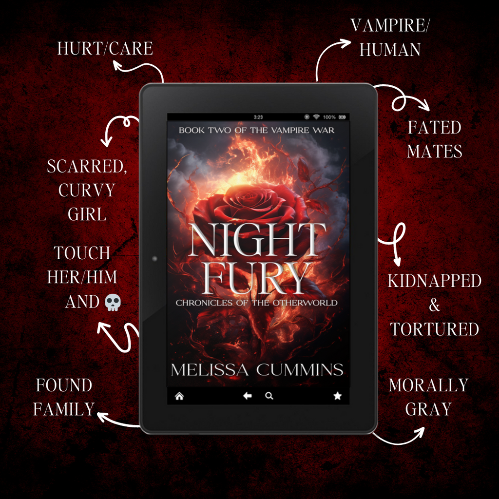 Night Fury Paperback - Dark Vampire Romance