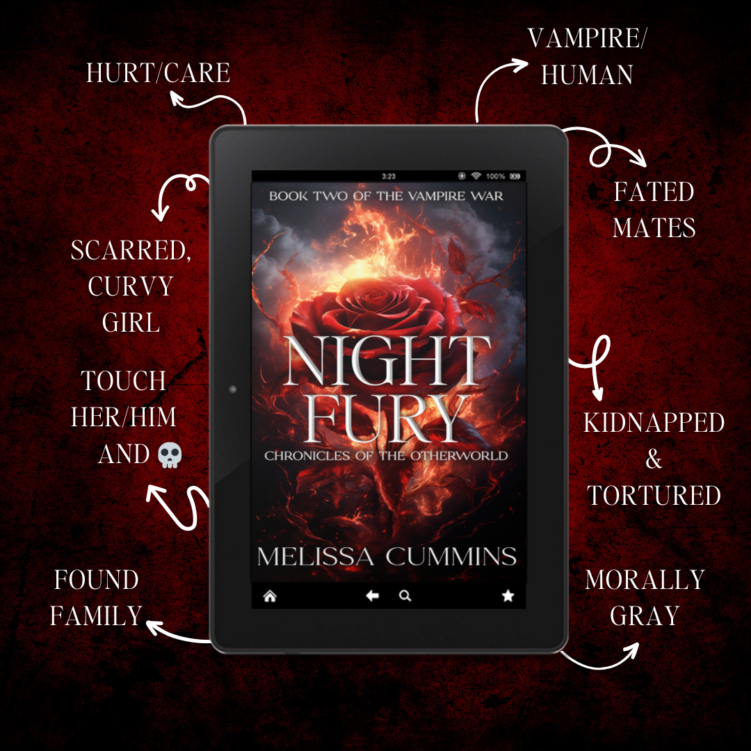 Night Fury Paperback - Dark Vampire Romance